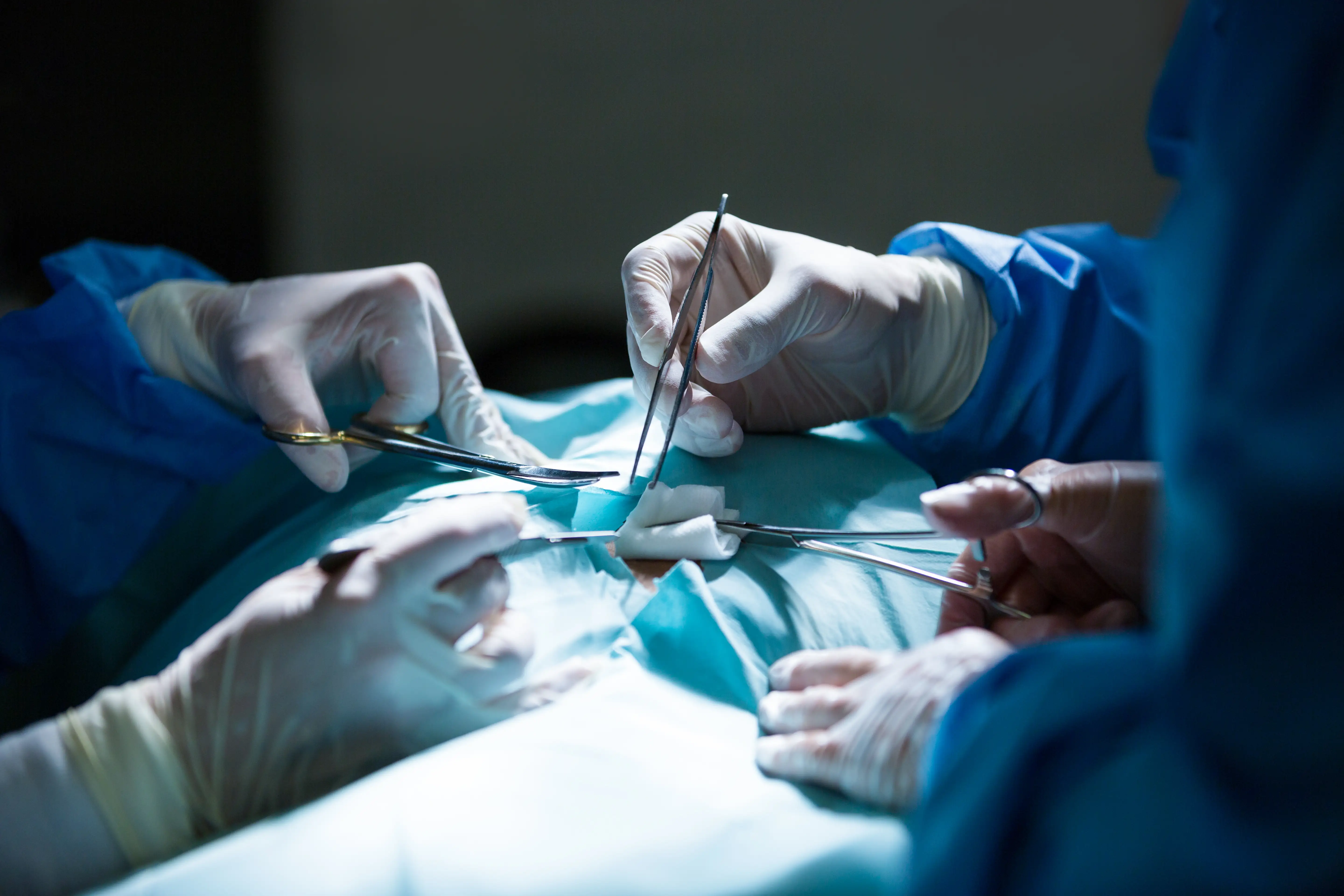 Liver Transplant